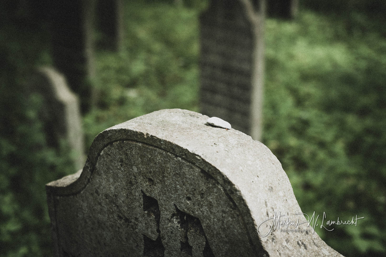 Niederhof (Sundhagen), Jüdischer Friedhof
